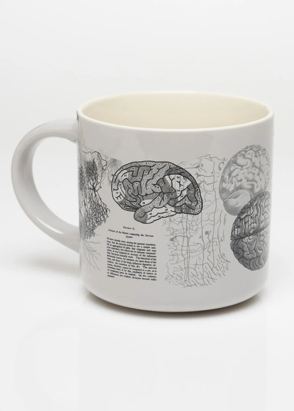 Succubus Home Tasse Anatomie Cérébrale – Image 2