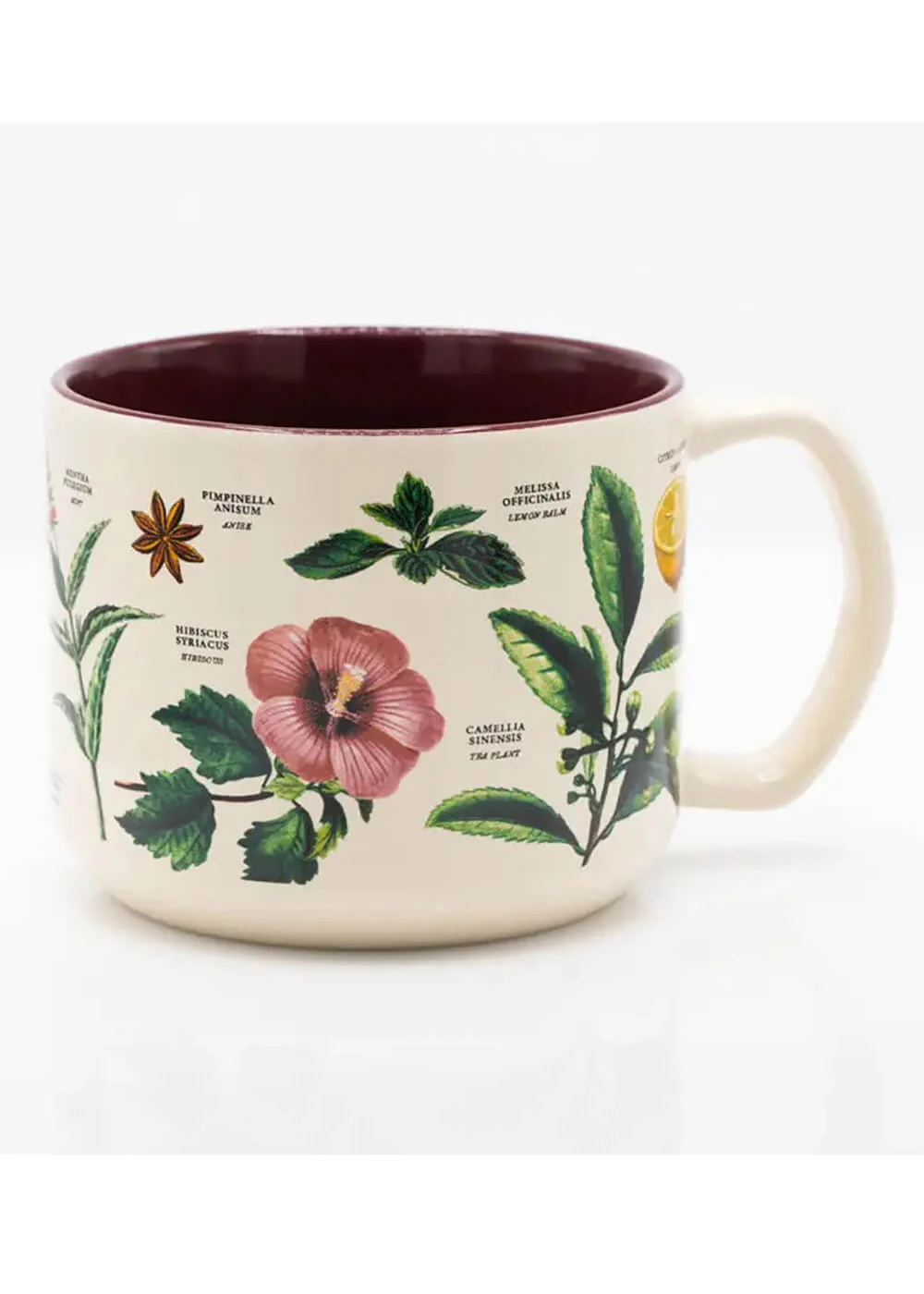 Succubus Home Botany of Tea — Mug en céramique 430ml – Image 2